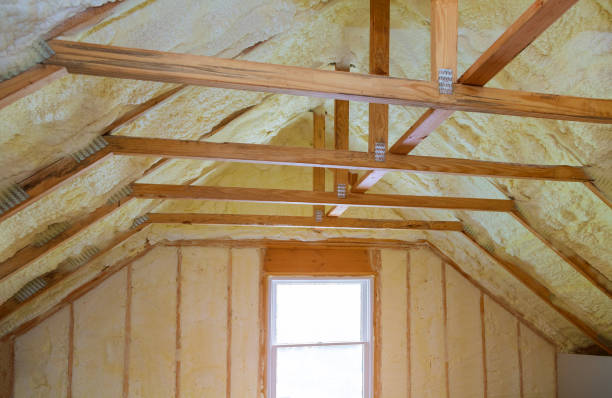 Best Specialized Insulation Services in Nedrow, NY