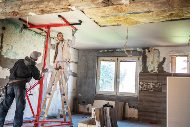 Best Insulation Maintenance and Repair in Nedrow, NY